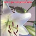 REENCARNAÇÃO TUDO O QUE VOCÊ PRECISAR SABER