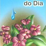 MENSAGEM DO DIA (A) (Bolso)